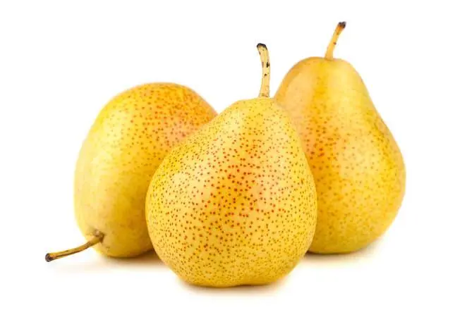 u=3164220137,233629031&fm=253&fmt=auto&app=138&f=JPEG.webp
