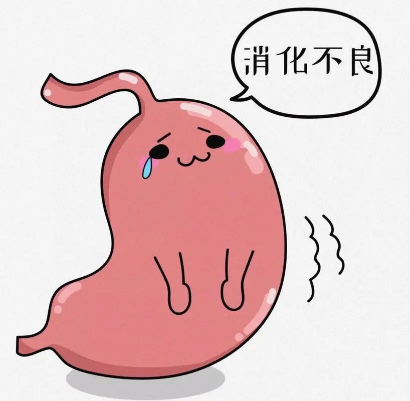 u=3306847166,968216323&fm=253&fmt=auto&app=120&f=JPEG.webp.jpg