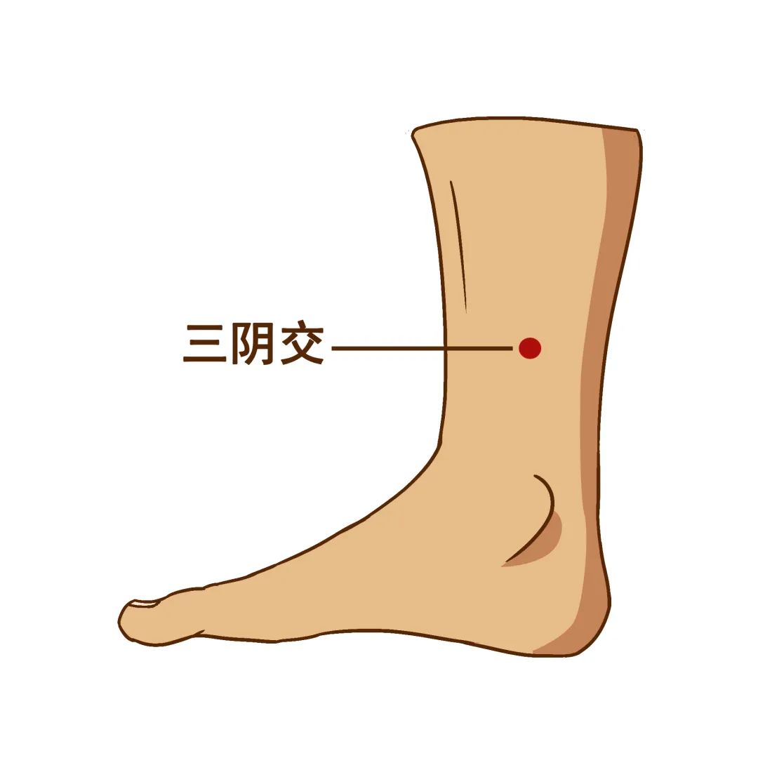 三阴交穴.jpg