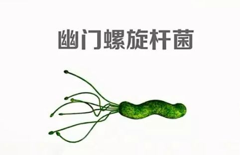 幽门螺旋杆菌是什么病