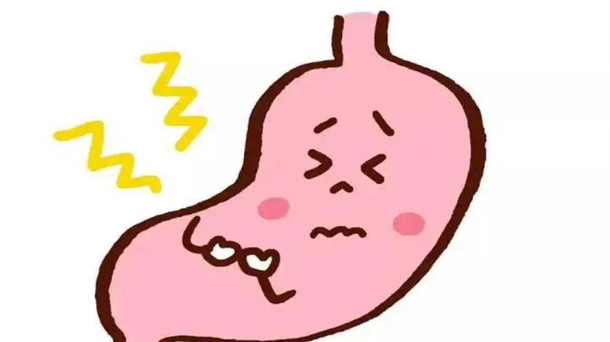 胃酸过多自己如何调理