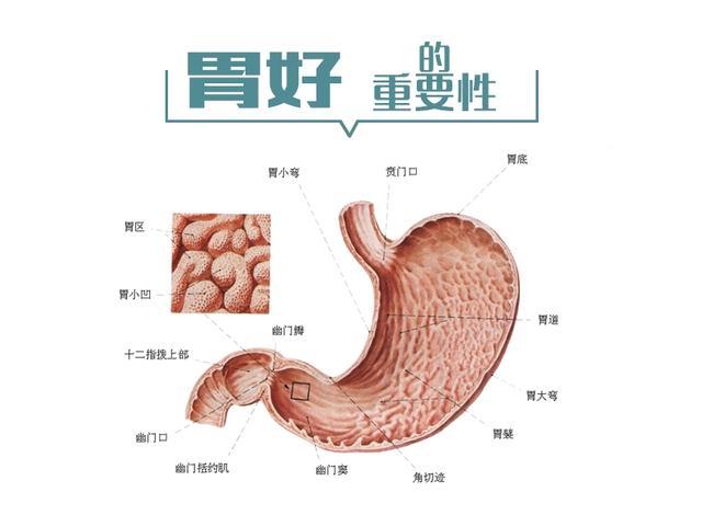 直肠炎的预防要点有哪些？