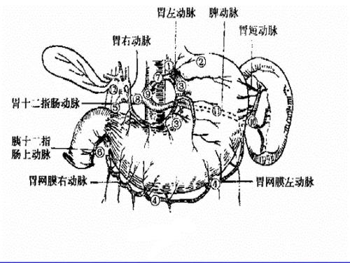 长期胃胀对身体有哪些危害