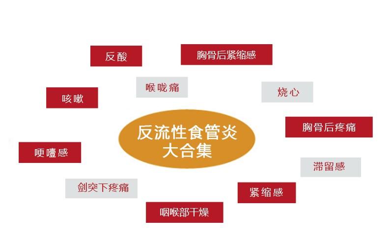 腹痛的发病机制