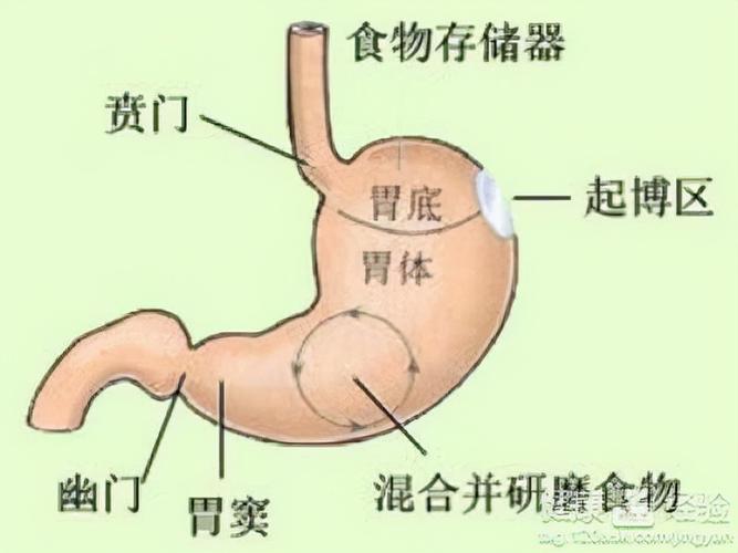 胃酸过多该怎么办-