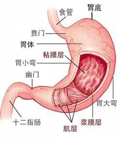 警惕肠炎的危害及时治疗